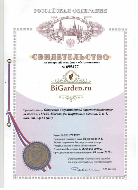 Двойное подвесное кресло "Gemini" promo black Зеленая подушка Двойное подвесное кресло "Gemini" promo black Зеленая подушка